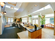 Reception Desk Area