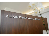 All Creatures Animal Hospital